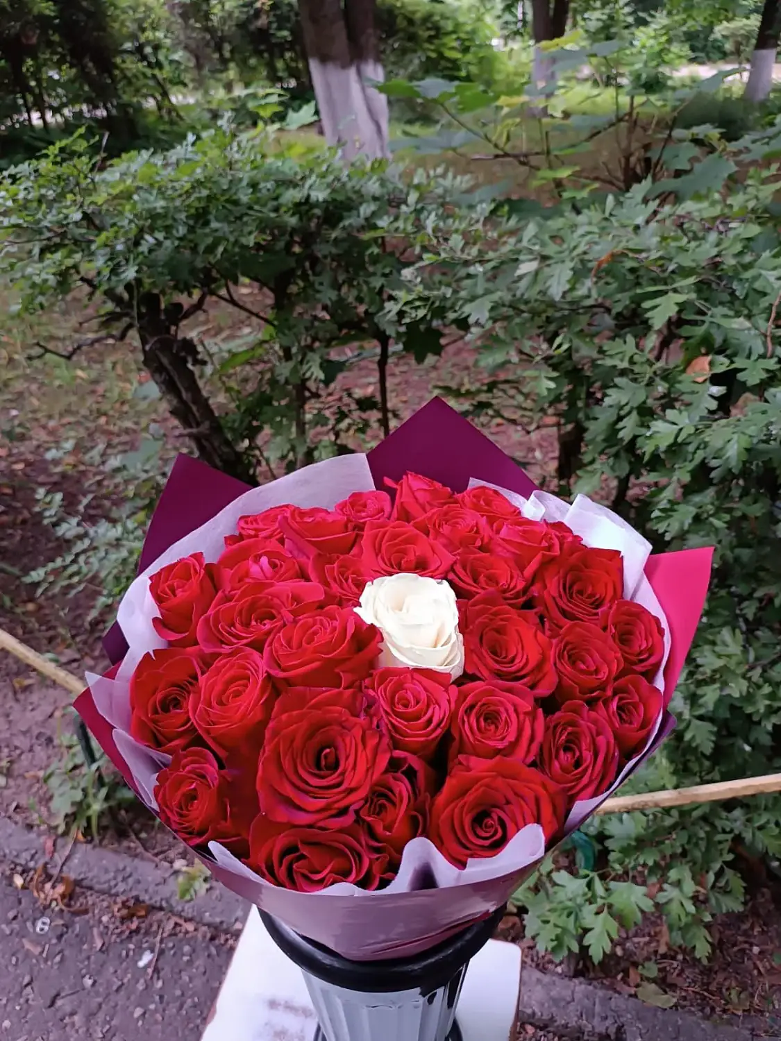 Моя единственная