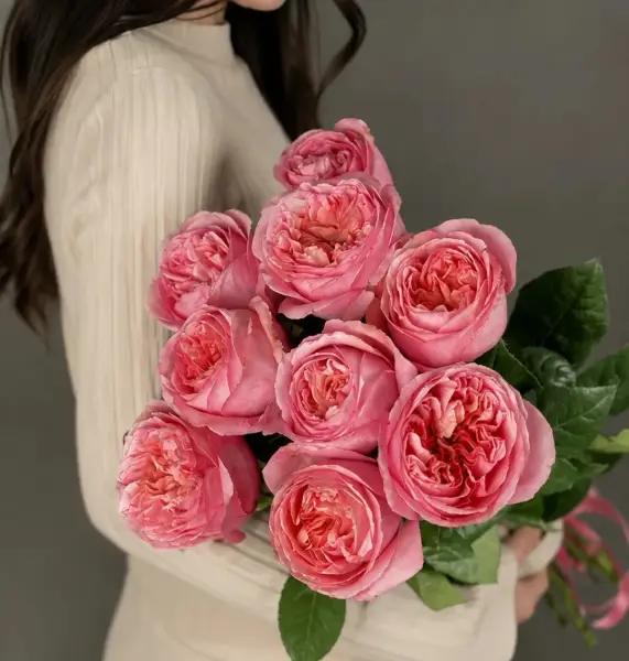 Мадам Роуз